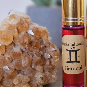 parfum zodia gemeni